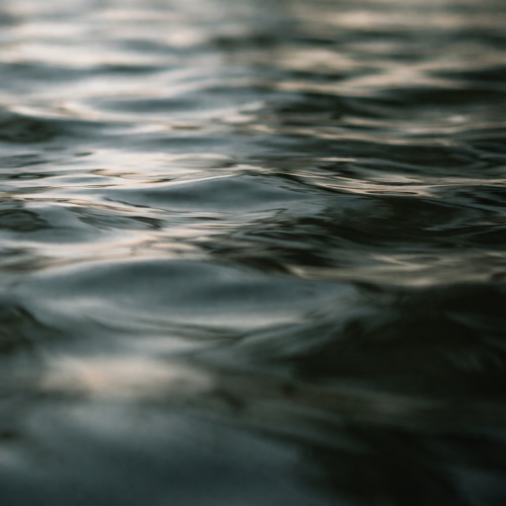 Padrão natural sugerindo fluxo e interdependência